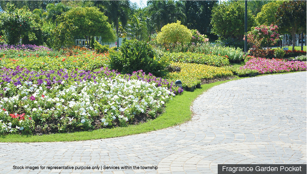Pebbled Pathway